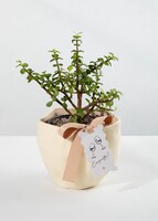 Imagen preview para Árbol de la abundancia con Distintivo "Congrats" - 1