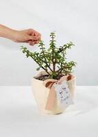 Imagen preview para Árbol de la abundancia con Distintivo "Congrats" - 2