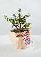 Imagen preview para Árbol de la Abundancia con Distintivo "Feliz Cumpleaños" - 1