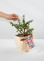 Imagen preview para Árbol de la Abundancia con Distintivo "Feliz Cumpleaños" - 2