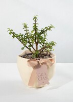 Imagen preview para Árbol de la Abundancia con Distintivo "Gracias" - 1