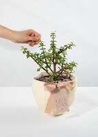 Imagen preview para Árbol de la Abundancia con Distintivo "Gracias" - 2