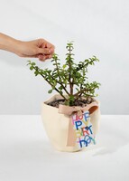 Imagen preview para Árbol de la Abundancia con Distintivo "Happy Birthday" - 2