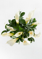 Imagen preview para Arreglo de 10 Alcatraces - 3