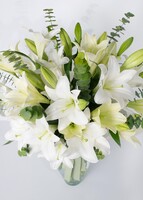 Imagen preview para Arreglo de 10 Casablancas con mini foto - 4