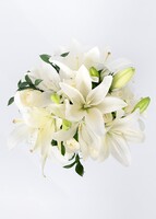 Imagen preview para Arreglo de 12 rosas blancas y lilys en jarrón - 3