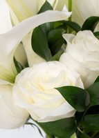 Imagen preview para Arreglo de 12 rosas blancas y lilys en jarrón - 4
