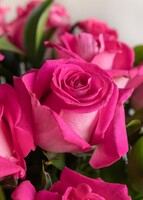 Imagen preview para Arreglo de 18 Rosas Fucsia - 4