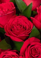 Imagen preview para Arreglo de 24 Rosas Rojas con Mini Foto - 3