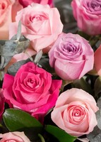 Imagen preview para Arreglo de 50 Rosas Rosa Combinadas - 4