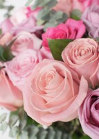 Imagen preview para Arreglo de 50 Rosas Rosa con Mini Foto - 3