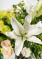 Imagen preview para Arreglo de Casablancas y Claveles - 3
