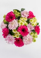 Imagen preview para Arreglo de Gerberas Fucsia y Roxanas	 - 3