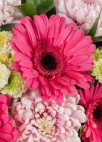 Imagen preview para Arreglo de Gerberas Fucsia y Roxanas	 - 4