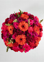 Imagen preview para Arreglo de Gerberas Rojas y Claveles - 3