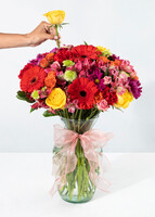 Imagen preview para Arreglo de Gerberas Rojas y Margaritas - 2