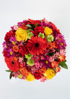 Imagen preview para Arreglo de Gerberas Rojas y Margaritas - 3