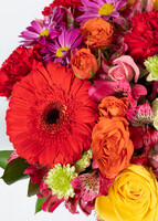 Imagen preview para Arreglo de Gerberas Rojas y Margaritas - 4