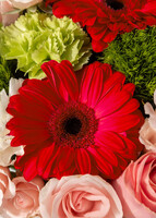 Imagen preview para Arreglo de Gerberas Rojas y Rosas - 4