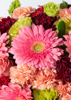 Imagen preview para Arreglo de Gerberas Rosa y Claveles - 4