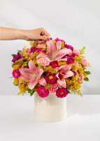 Imagen preview para Arreglo de Lilys Rosa y Claveles con Mini Foto - 2