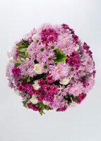 Imagen preview para Arreglo de Margaritas Moradas y Rosas - 3