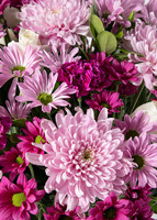 Imagen preview para Arreglo de Margaritas Moradas y Rosas - 4