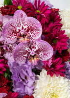 Imagen preview para Arreglo de Margaritas y Orquídea Morada con Mini Foto - 4