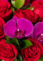 Imagen preview para Instante Arreglo de Rosas Rojas y Orquídeas - 4