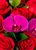 Imagen preview para Arreglo de Rosas Rojas y Orquídeas con Mini Foto - 4