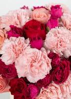 Imagen preview para Dulce emoción con Rosas y Claveles con Mini Foto - 4