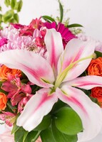 Imagen preview para Arreglo de Roxanas y Gerberas - 4