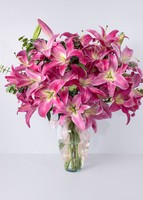 Imagen preview para Arreglo de Stargazer  - 1