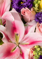 Imagen preview para Arreglo de Stargazers y Lilys amarillas con Mini Foto - 3