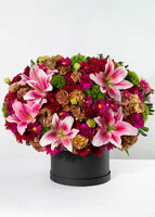 Imagen preview para Arreglo de Stargazers y Margaritas - 1