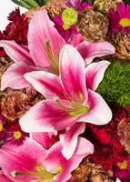 Imagen preview para Arreglo de Stargazers y Margaritas - 3