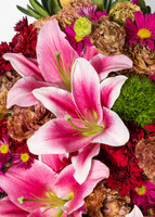 Imagen preview para Arreglo de Stargazers y Margaritas con Mini Foto - 4