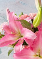 Imagen preview para Arreglo de Stargazers y Rosas Rosas - 4