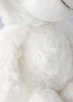 Imagen preview para Borreguito de Peluche - 3