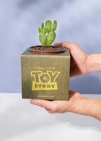 Imagen preview para Caja Disney Toy Story - 4