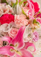 Imagen preview para Arreglo de Stargazers y Rosas - 4