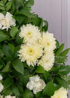 Imagen preview para Corona Floral de Condolencias - 4