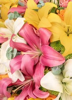 Imagen preview para Euforia Floral en Ramo con Combinación de Lilys - 4
