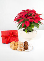 Imagen preview para Galletas Navideñas y Nochebuena - 1