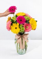 Imagen preview para Gerberas de Colores - 2