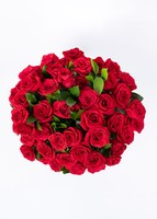 Imagen preview para Gran Ramo de Amor con 50 Rosas Rojas - 1