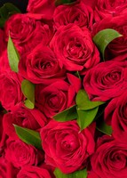 Imagen preview para Gran Ramo de Amor con 50 Rosas Rojas - 4