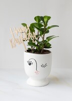 Imagen preview para "Happy Birthday" con Planta del Éxito en Maceta de Ceramica - 1