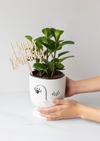 Imagen preview para "Happy Birthday" con Planta del Éxito en Maceta de Ceramica - 3