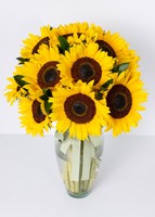 Imagen preview para Arreglo de 15 Girasoles - 1